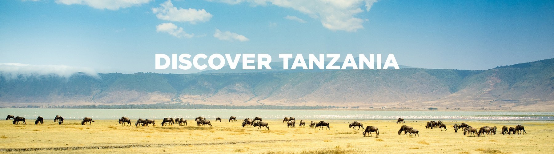 Discover Tanzania