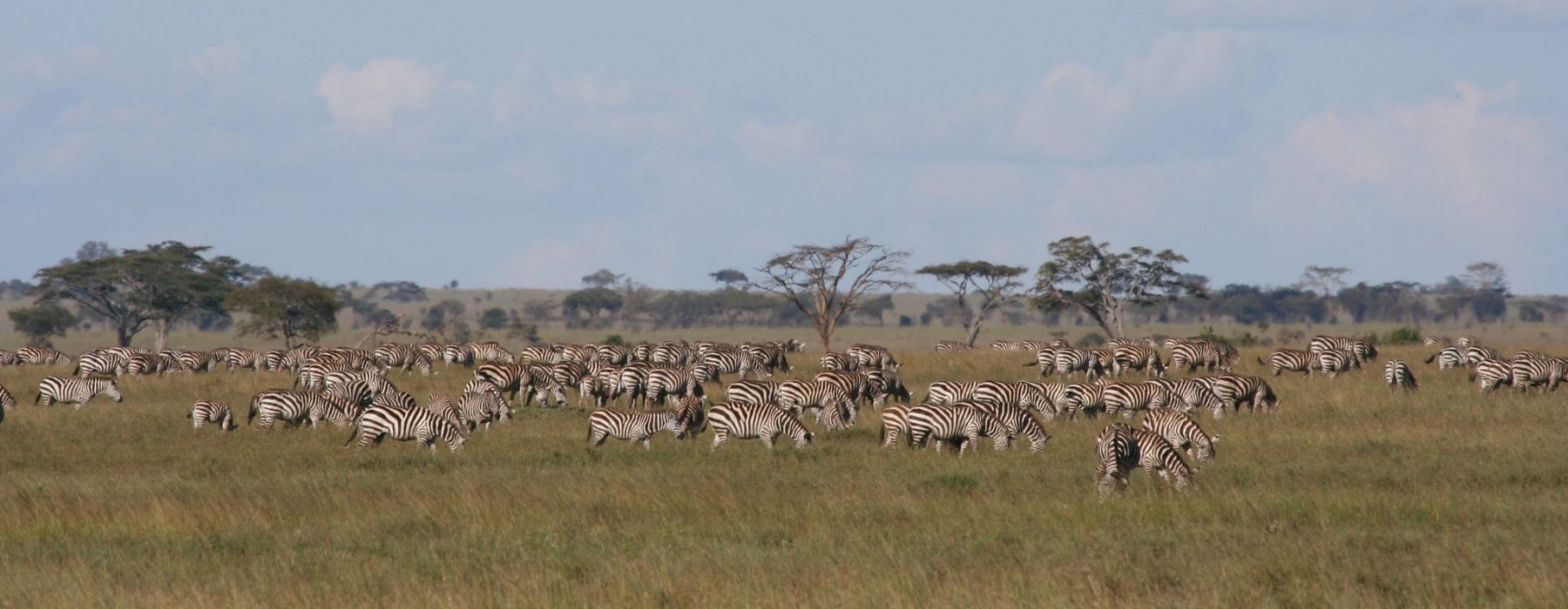 Discover Tanzania