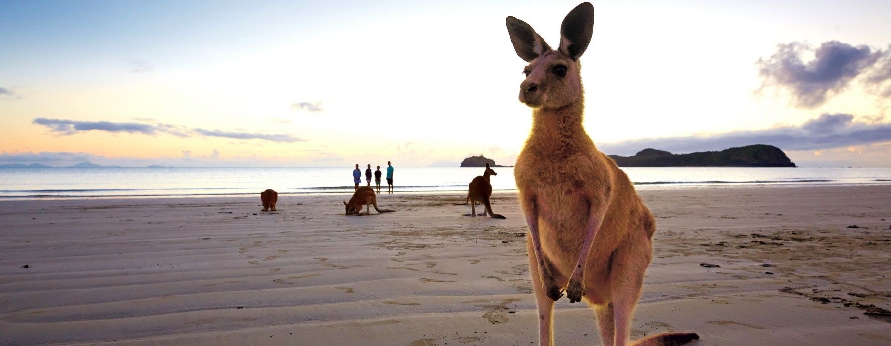 Experience Australia with Swain Destinations