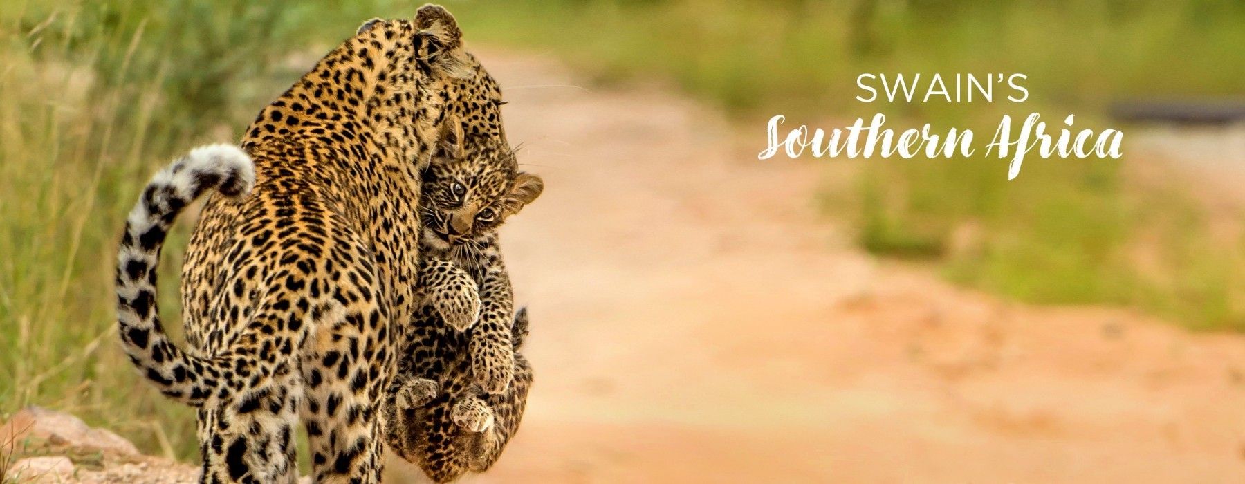 Explore Southern Africa